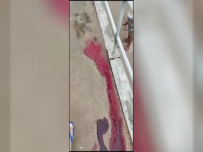 Two More Men Murdered in Brazil