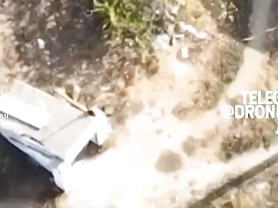 Ninja cat scapes death