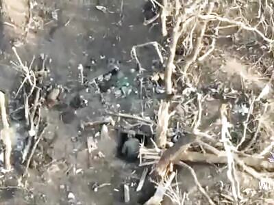 Hey! What are you digging for?