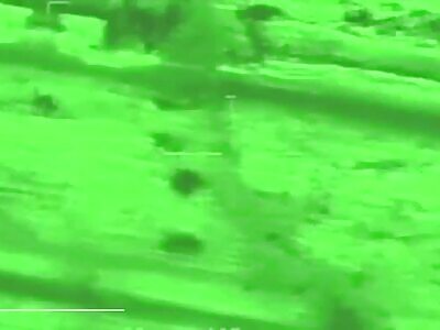 Hamas Rats Dying in the Dark