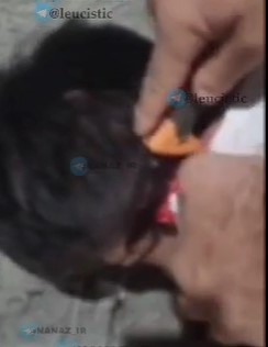 Cutting off an Afghan ear by an Iranian