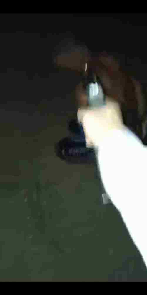 Pistol Emptied Into Young Man's Head