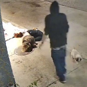 Man Pushes and Kicks Woman In Face In Unprovoked Assault In Plaza District