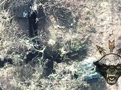 Ukrainian drone bombs Russian positions