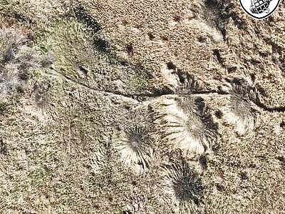 Mr. Boombastic for russian cockroaches