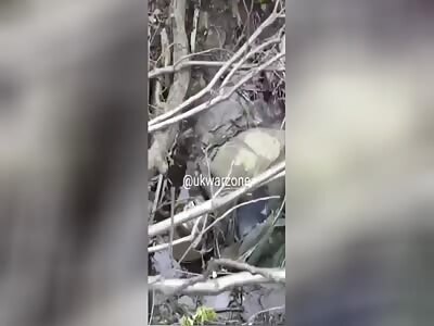 Russian tried to take yearly bath but failed