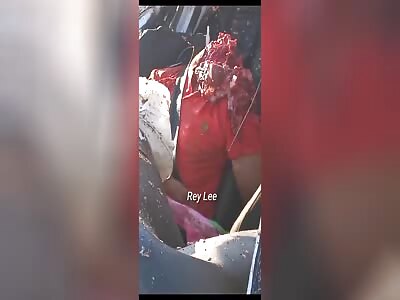 Victim decapitated after car accident 