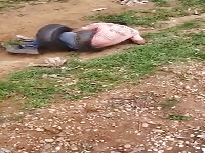 Don't Fuck with an Anaconda 