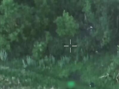 Ukrops in Forest Belt Hit With RU Arty. 