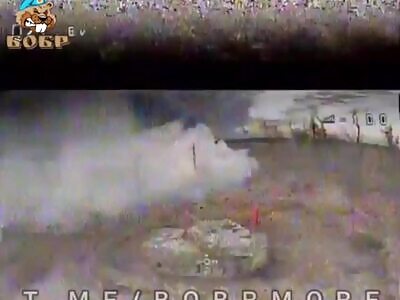 Yet Another Leapord Tank Meets its Demise. 