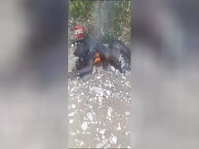 Living in Haiti is Rough.