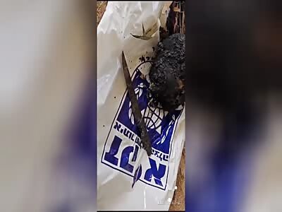 اSevered head found in Israeli settlement