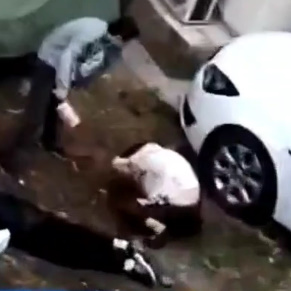 Psycho Attacks Two People With a Meat Cleaver.