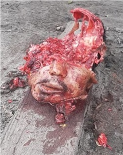 [1]WITH A MACHETE HE KILLED HIS OWN MOTHER AND BROTHERS 