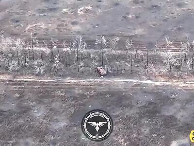 Russians were fried inside an APC