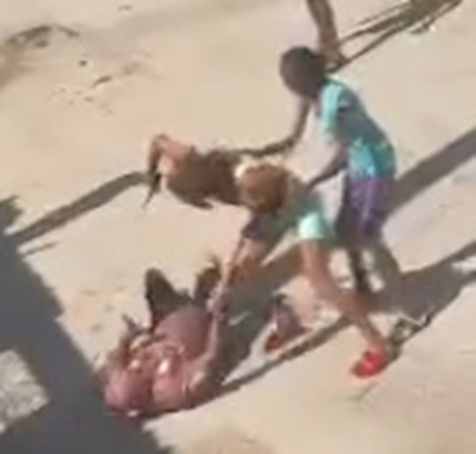 Deadly Broad Daylight Stabbing in Cuba