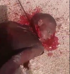 BRUTAL: Decapitated with a Machete (Action & Aftermath)