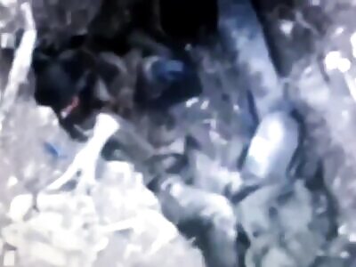 Pidorashkas removing themselves