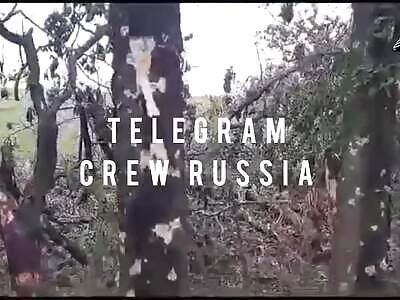 Dead Ukrops in Zaporozhye