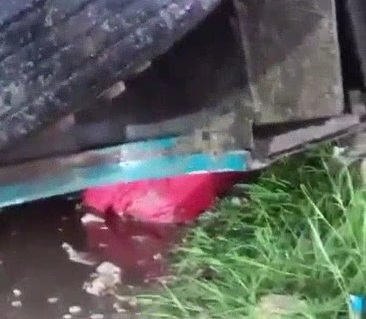 Pedestrian crashed under bus 