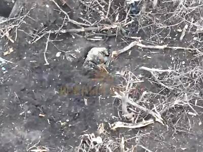 Ukrops Smoked Out And Eliminated 