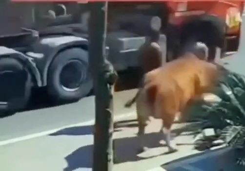 Indian man killed by his God 