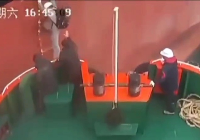 Sailor Crashed between two Ships Fell into the Sea and Disappeared 