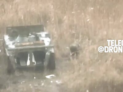 Can't Shit in Peace Anymore.