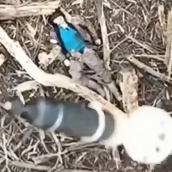 Enjoy The Warm Embrace Of The Grenade