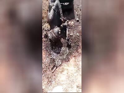 Hundreds of terrorists have been killed in Africa.