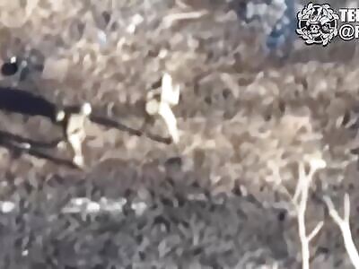 Ukrainian Kamikaze Drone Compilation