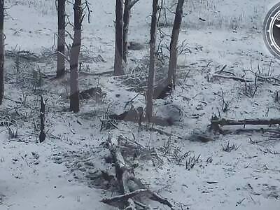 FPV drone turned a Russian into mincemeat