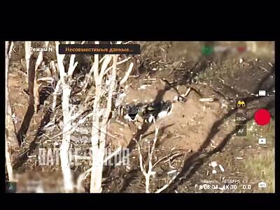 Russian drone destroys 