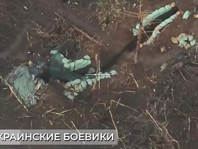 Occupied Ukrop Postion Hit With FPV