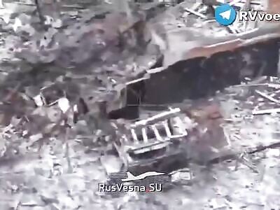 Ukrops Birried By RU Arty