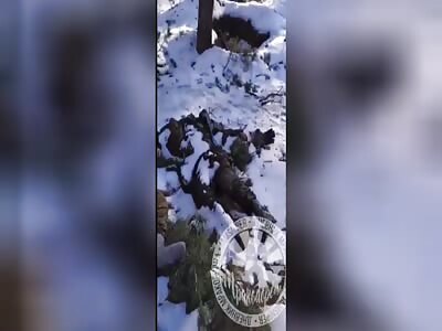 Bodies of Ukrainian soldiers litter the place