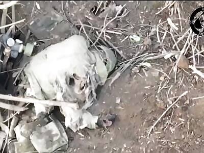 Mass extermination of Russian occupiers