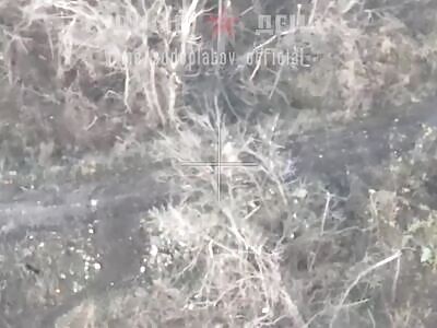 3 Ukrainian go to sleep 