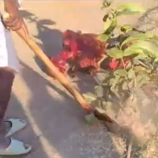 In Haiti the Axe Executions Are No Joke