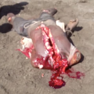 In Haiti the Axe Executions Are No Joke (Extended)