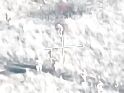 FPV Drones Picking Off Ukrops. 