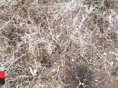 A Visit To The Russian Infirmary 