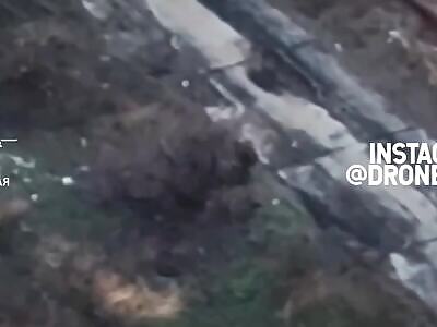 Soldier tries to hide behind pole