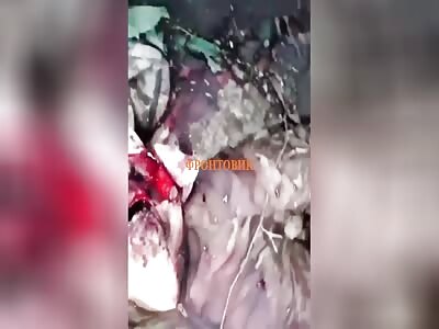 In the end I just end up as food for flies 