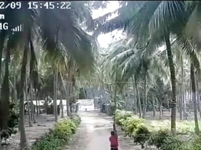 Dude Carrying Big Metal Rod and gets Electrocuted