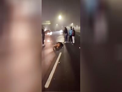 The last oral sex he had in his life 