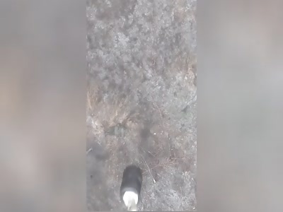 Russians were warmed up with a thermobaric grenade