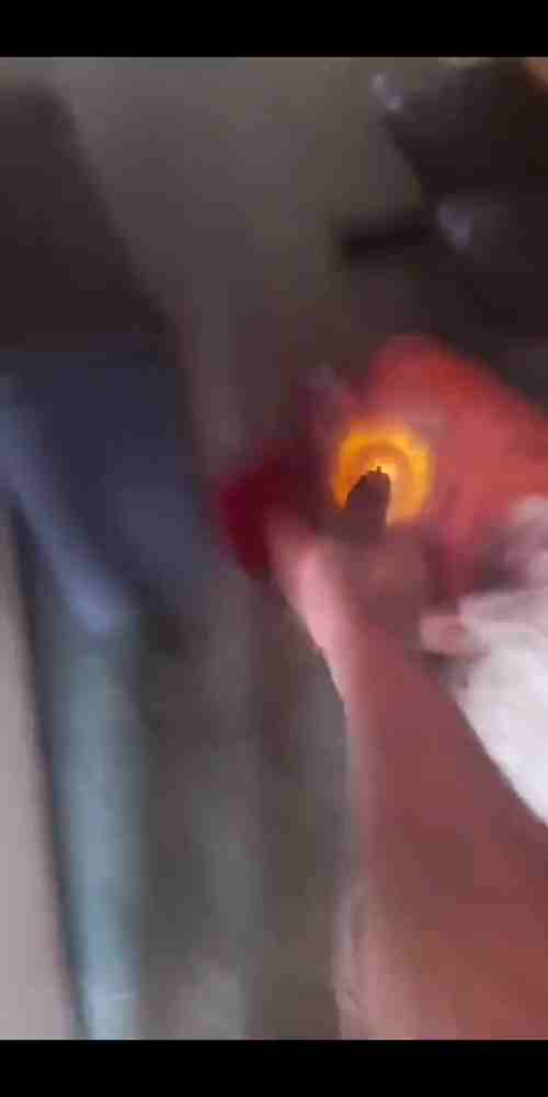 Pistol Emptied Into Rival's Head And Body