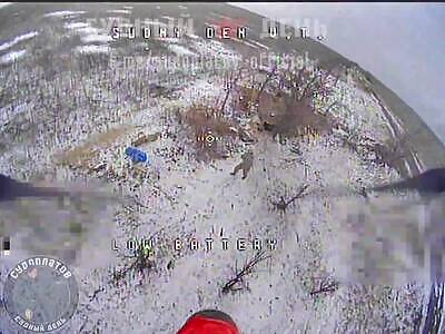 Russian drones doing dirty work again 