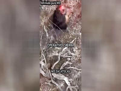 The body of a hitman murdered by members of a rival cartel